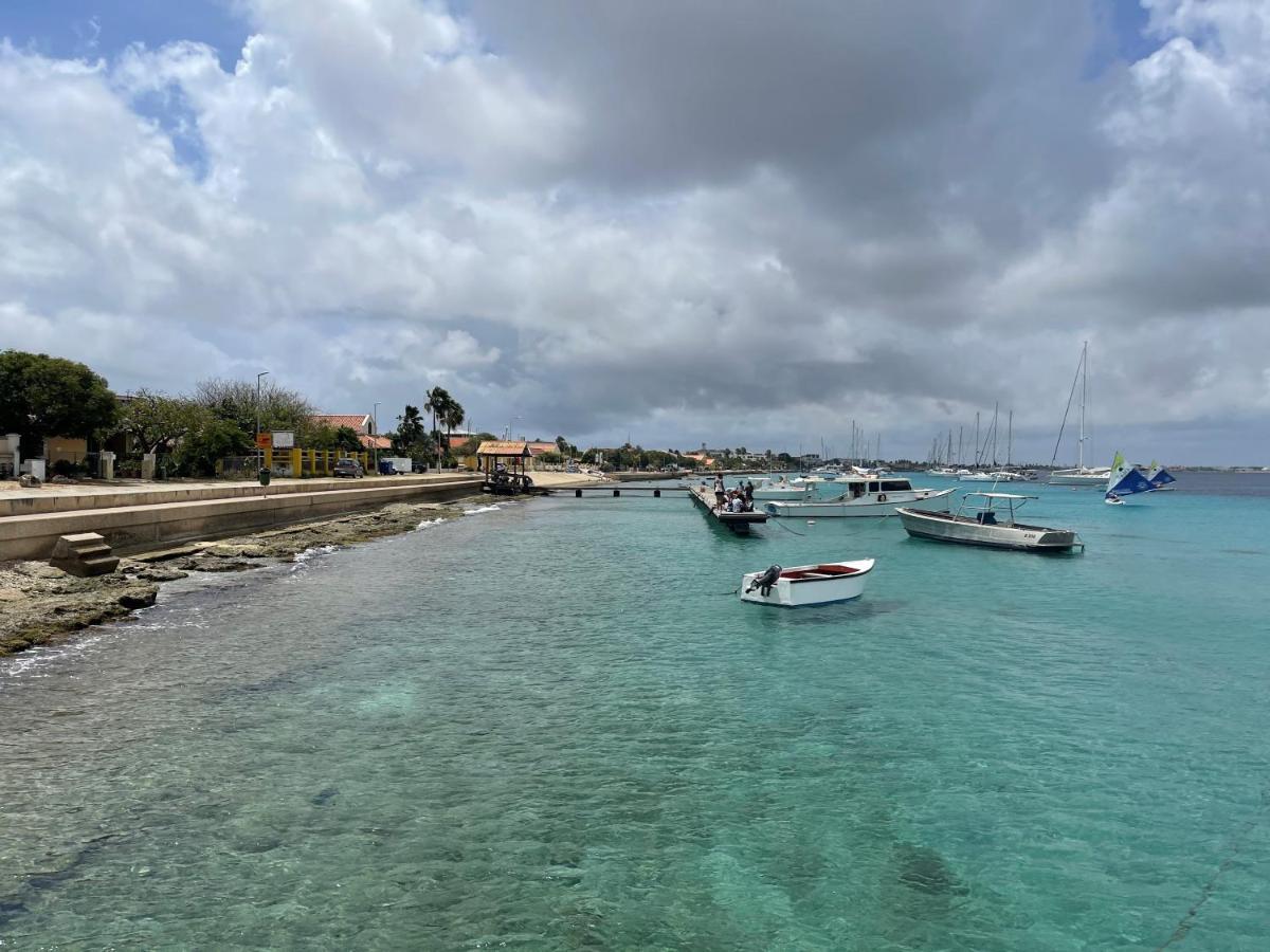Villa Gobernador Bonaire クラレンダイク エクステリア 写真
